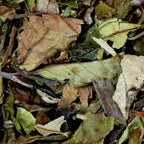 Pai Mu Tan BIO Thé blanc Chine doux et onctueux vrac