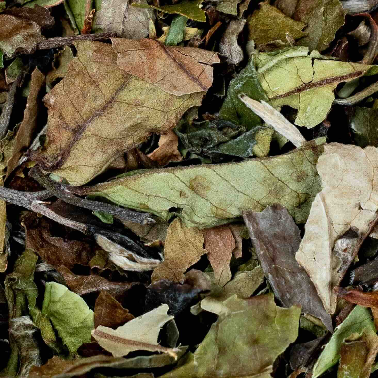 Pai Mu Tan BIO Thé blanc Chine doux et onctueux vrac