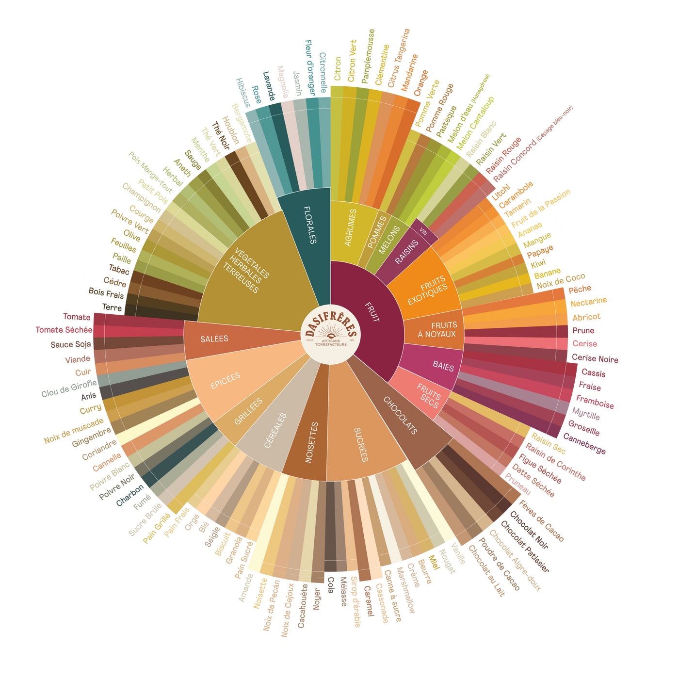 Votre guide pour explorer les arômes du café